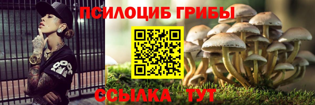 Галлюциногенные грибы Magic Shrooms Великий Новгород